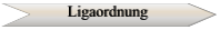 Ligaordnung